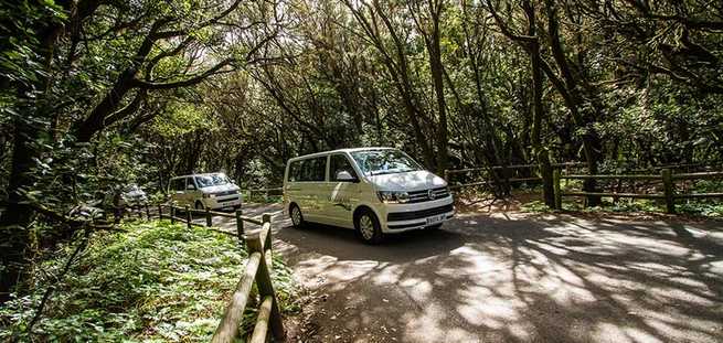 Minivans during the excursion in La Gomera with the VIP Tour