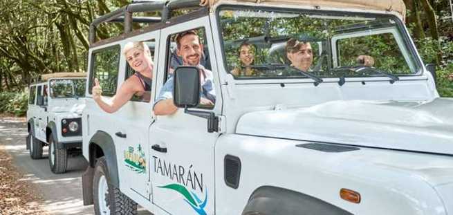 Excursión en Jeep Safari por La Gomera en privado
