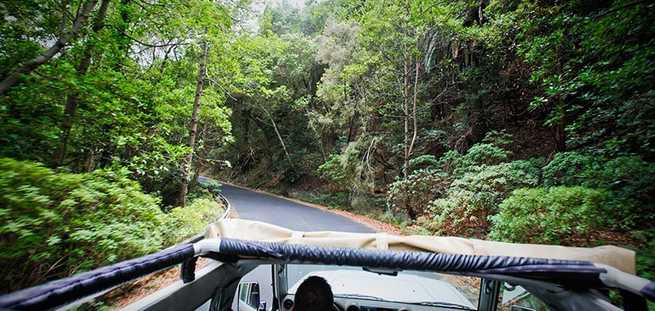 Route bei der privaten Jeep Safari durch Wälder auf La Gomera