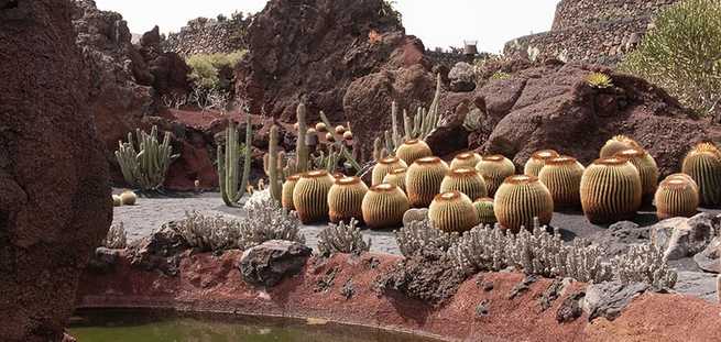 Ausflug zum Kaktusgarten auf der Nordroute Lanzarote